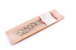 GOJNIK HERBATA GÓRSKA ZŁOTE ZIELE 20gram